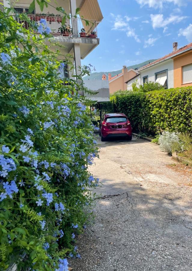 Apartment Garden Cattaro Esterno foto